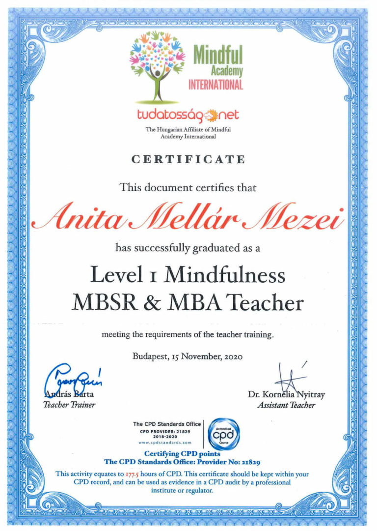 mindfullness-certificate-mbsr-level-1