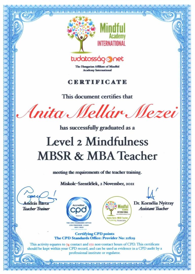 mindfullness-certificate-mbsr-level-2